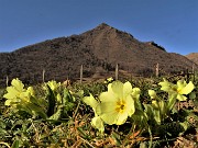 MONTE CASTELLO (croce 1425 – cima 1474 m) da Valpiana di Serina il 26 febbraio 2022 - FOTOGALLERY